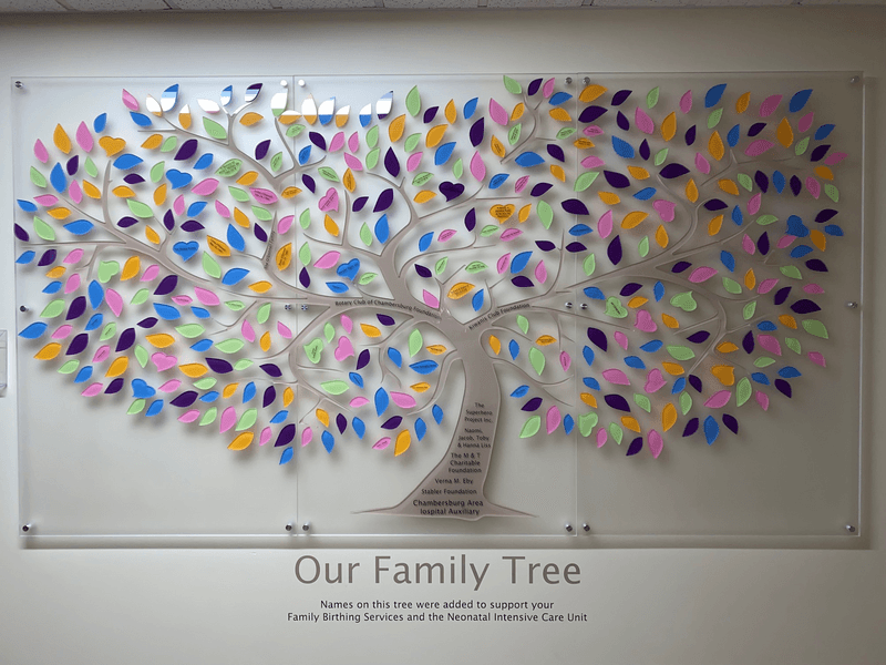 chambersburg-family-tree